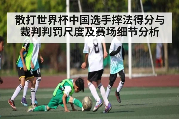 散打世界杯中国选手摔法得分与裁判判罚尺度及赛场细节分析